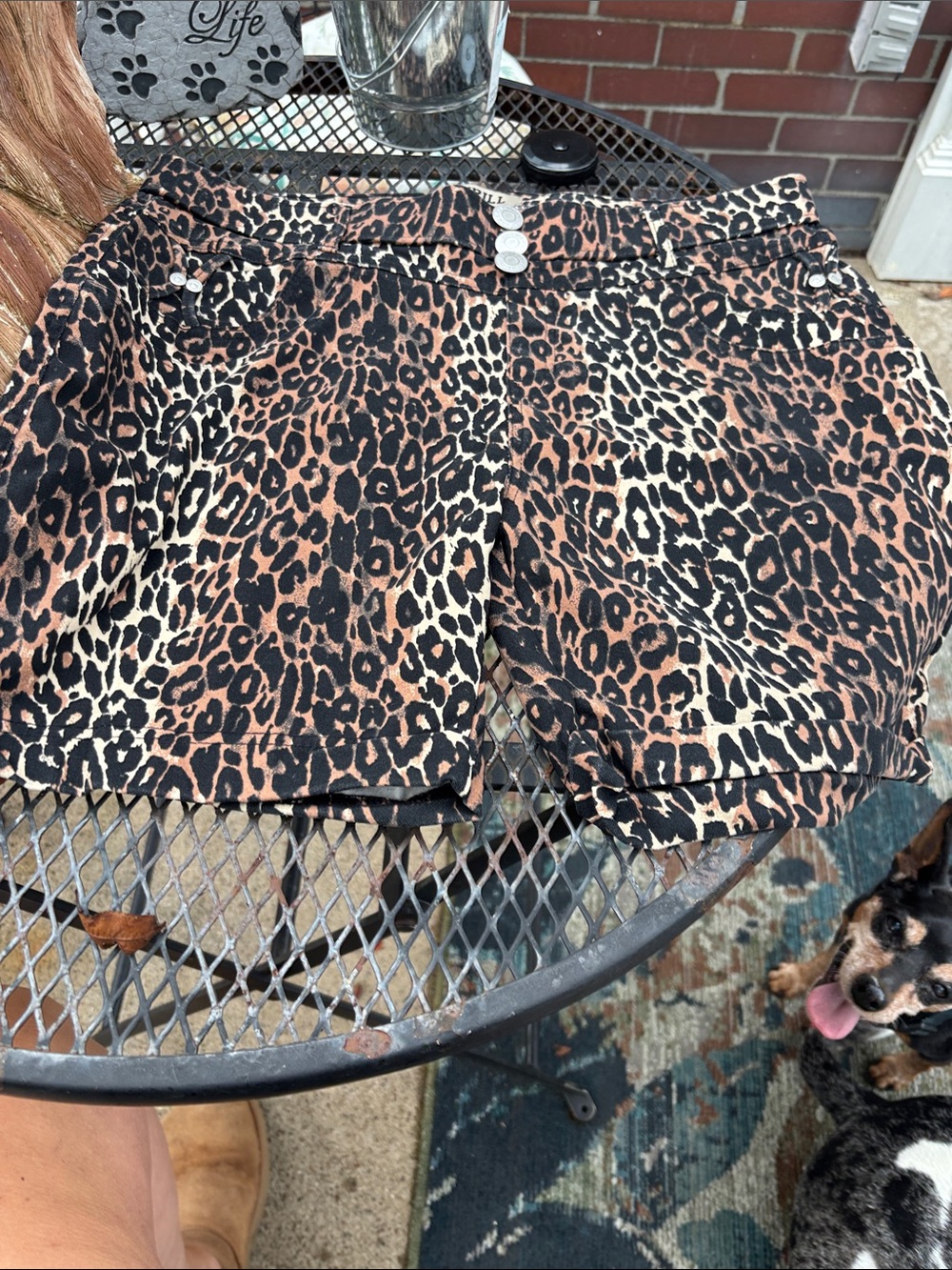 2x leopard print shorts